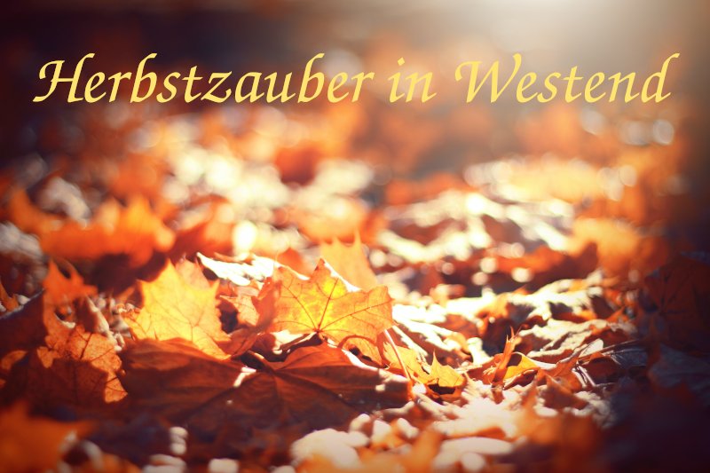 Herbstzauber in Westend (Berlin-Charlottenburg)