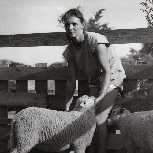 Peggy Ebert bei der Arbeit auf dem Bauernhof "Pinke-Panke"